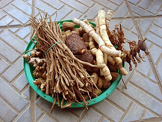 Йохімбе (Pausinystalia yohimbe)